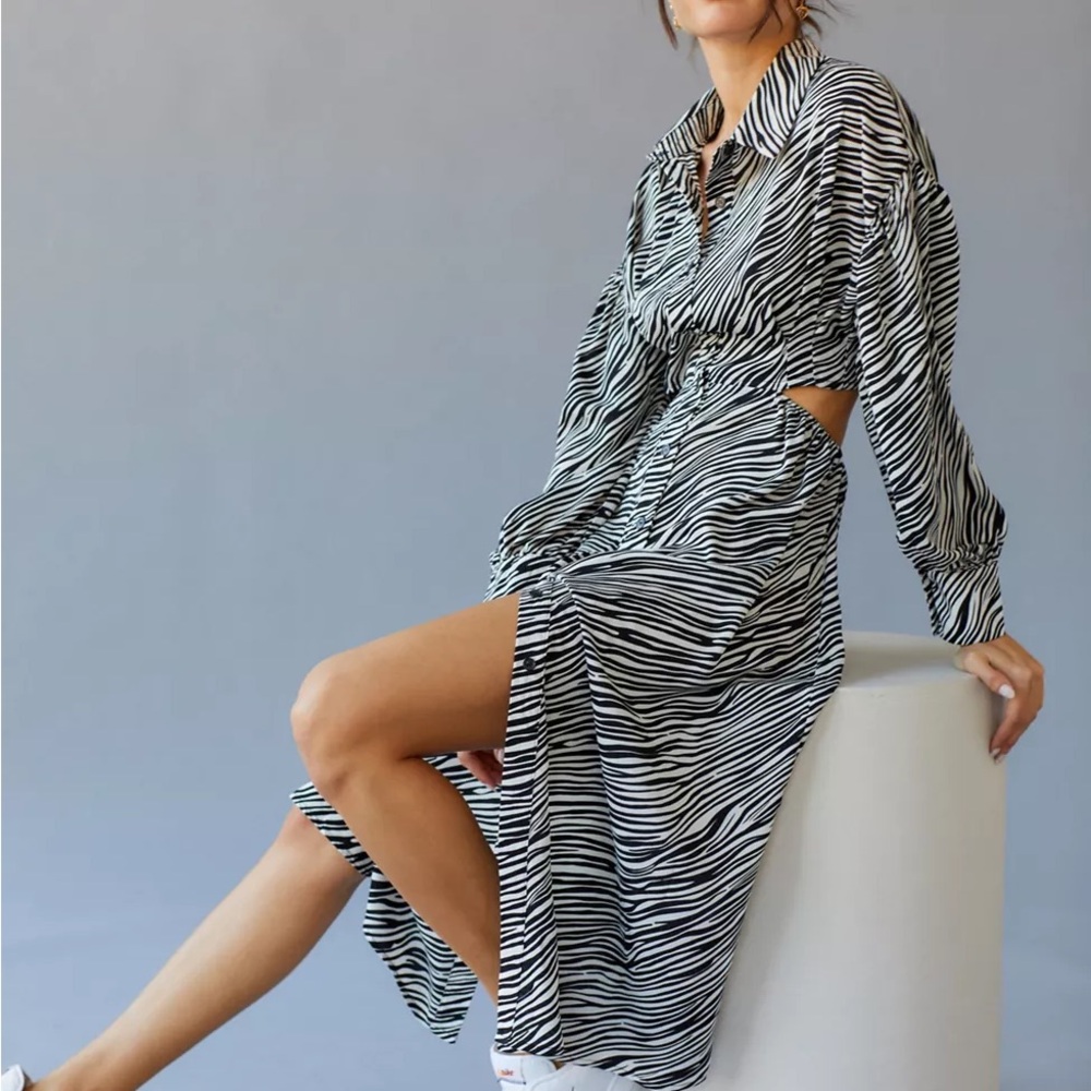 Urban Outfitters Black and White Zebra Print Dress